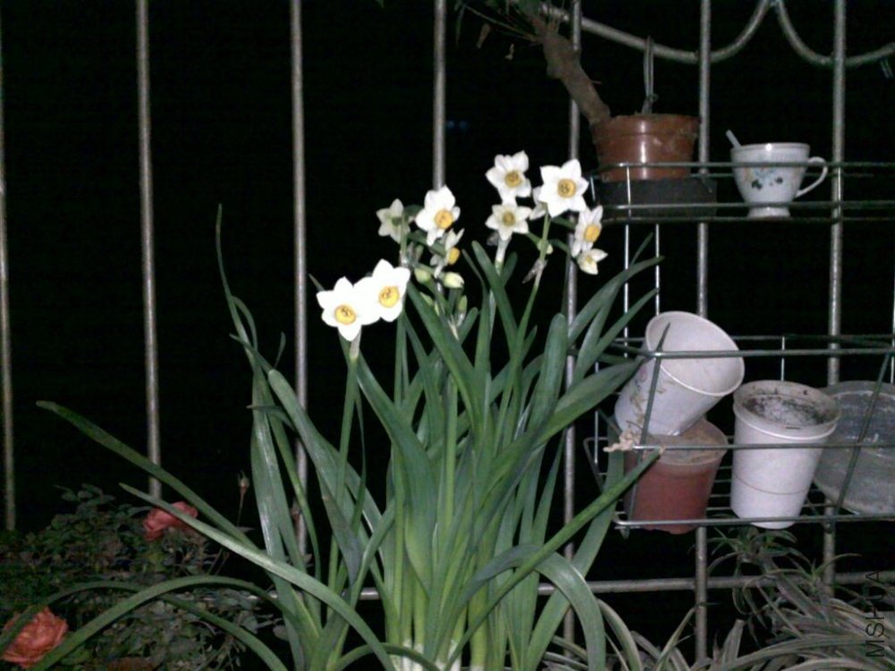 20110223249.jpg
