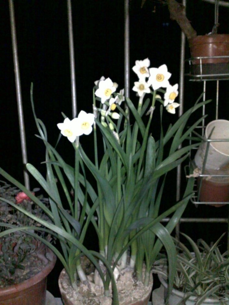 20110223248.jpg