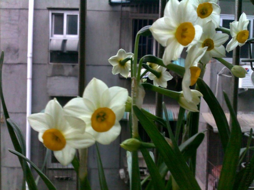 20110224259.jpg