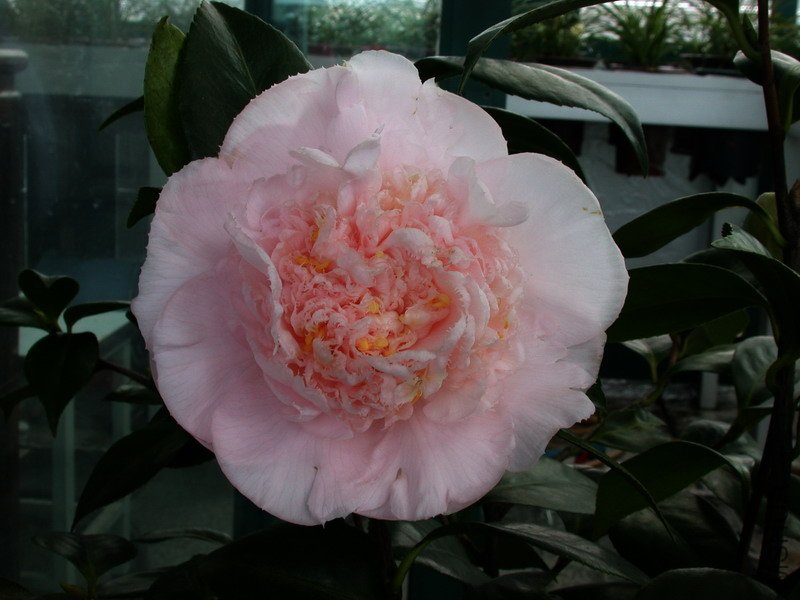 ����֮��