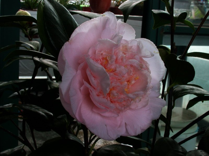 ����֮��