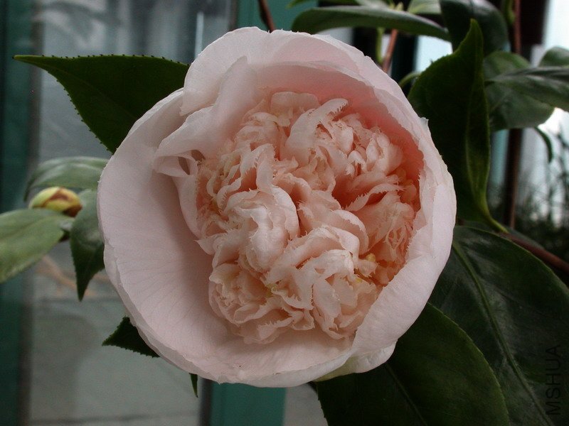 ����֮��