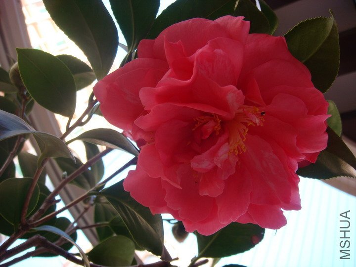 DSC01626_������С.JPG