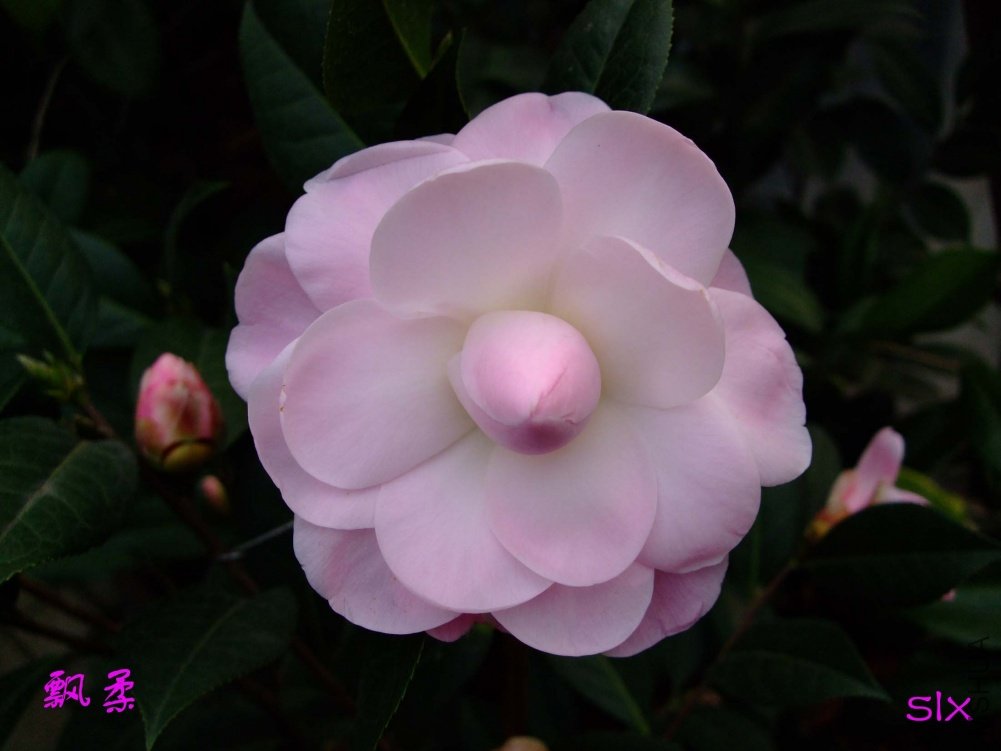 Ʈ��11-3-4f (1).jpg