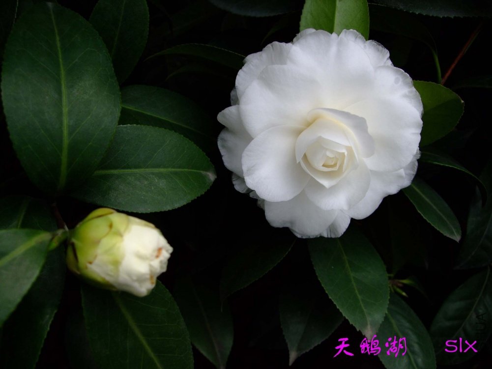 ����11-3-4f (1).jpg