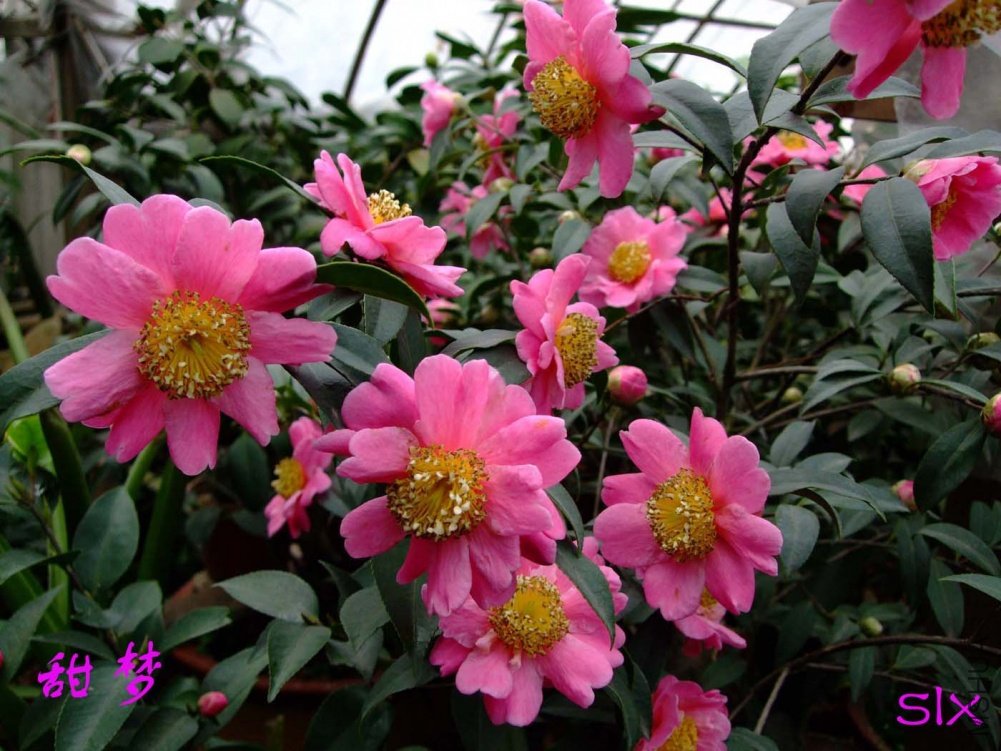 ����11-3-4f (1).jpg