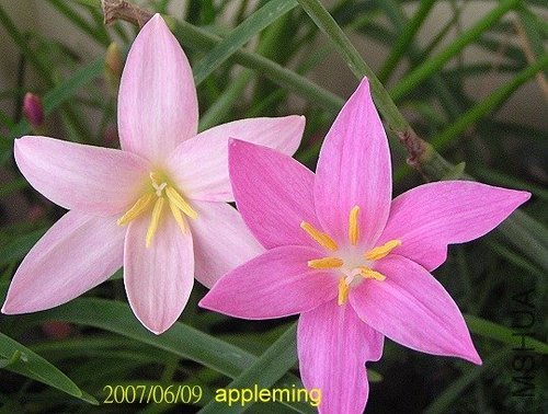 20080806_5c80b8eb7d39110cdd9bir92xNnxtmn5.jpg