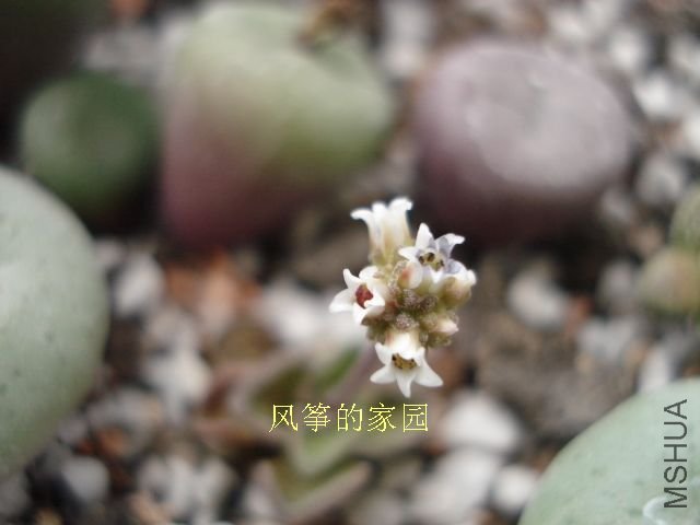 DSC09843.jpg