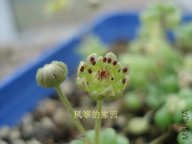 DSC09850.jpg