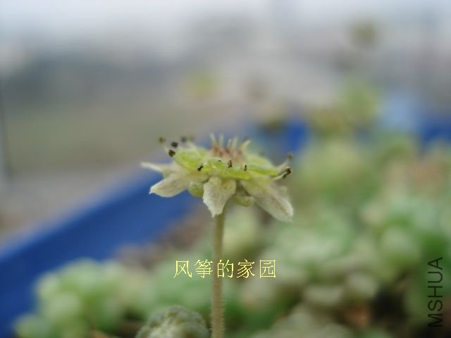 DSC09849.jpg