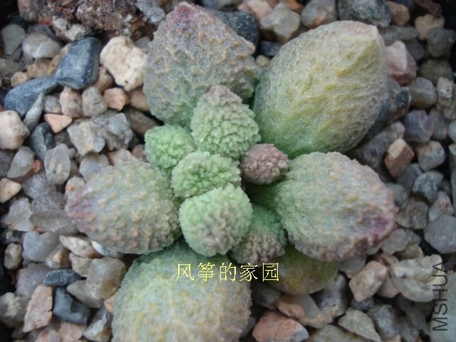 DSC09860.jpg