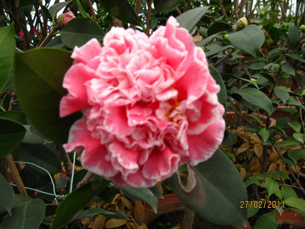 IMG_0052.JPG