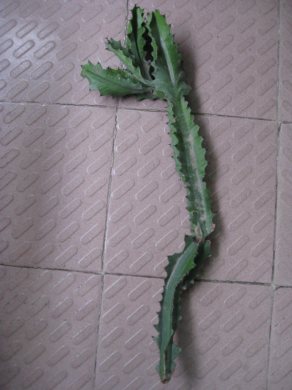 ��Ƭ 020.jpg