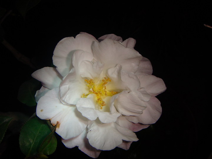 DSC01654_������С.JPG