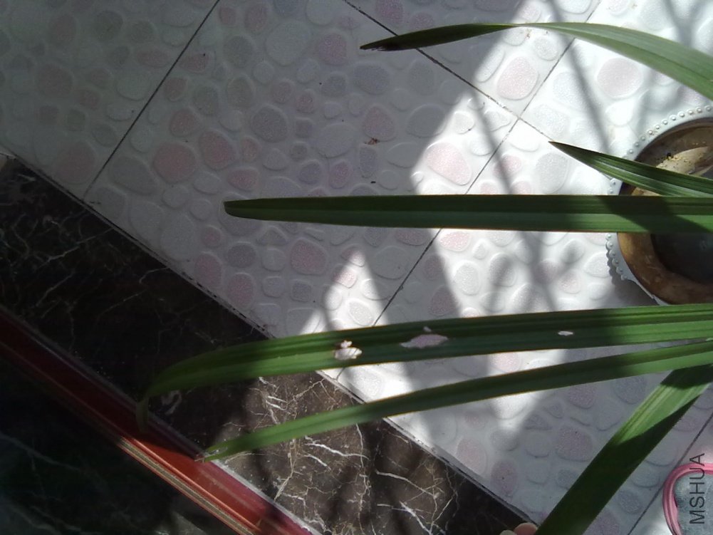 20110307655.jpg