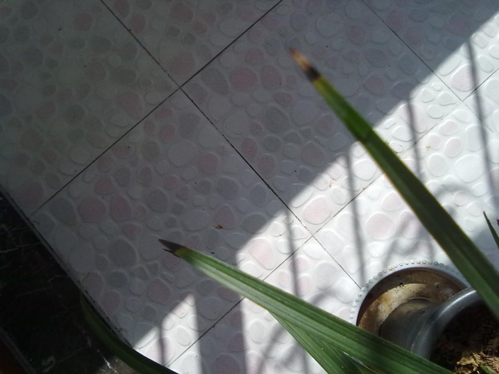 20110307656.jpg