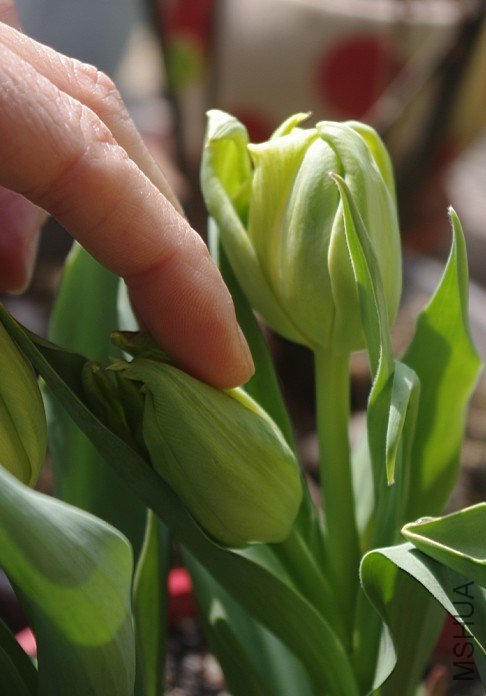 ˫�����ؿ���