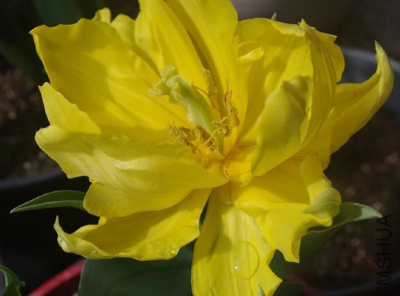 ʢ�������ؿ���