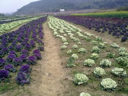 201103062200.jpg