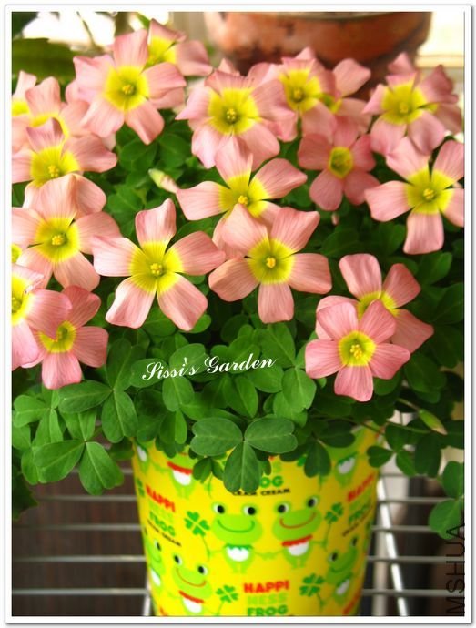 nEO_IMG_110227 086.jpg