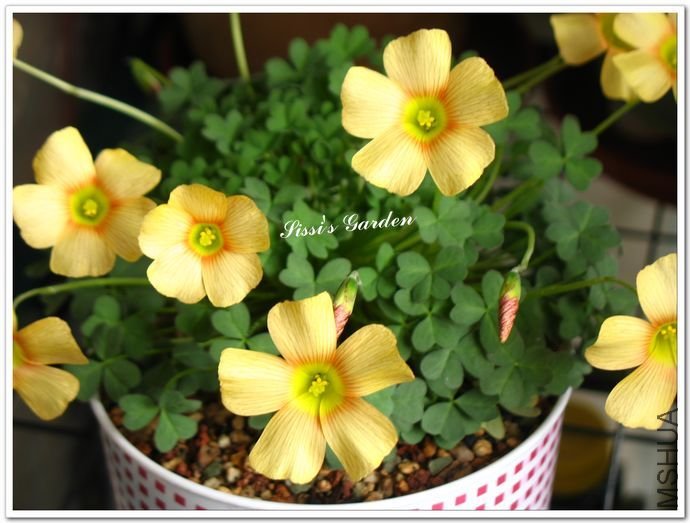 nEO_IMG_110227 048.jpg