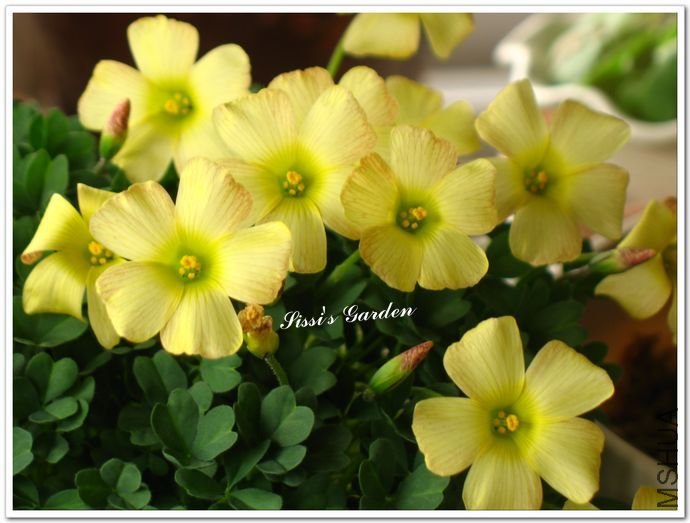 nEO_IMG_110227 041.jpg