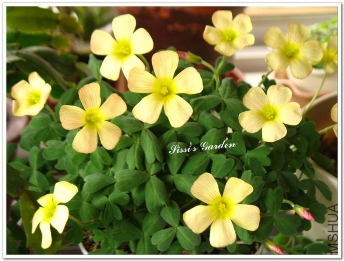 nEO_IMG_110227 076.jpg