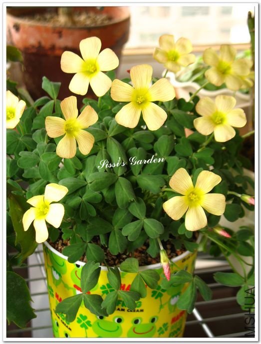 nEO_IMG_110227 075.jpg