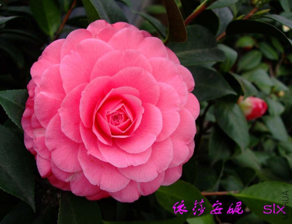 ��ɯ 11-3-8f(1).jpg