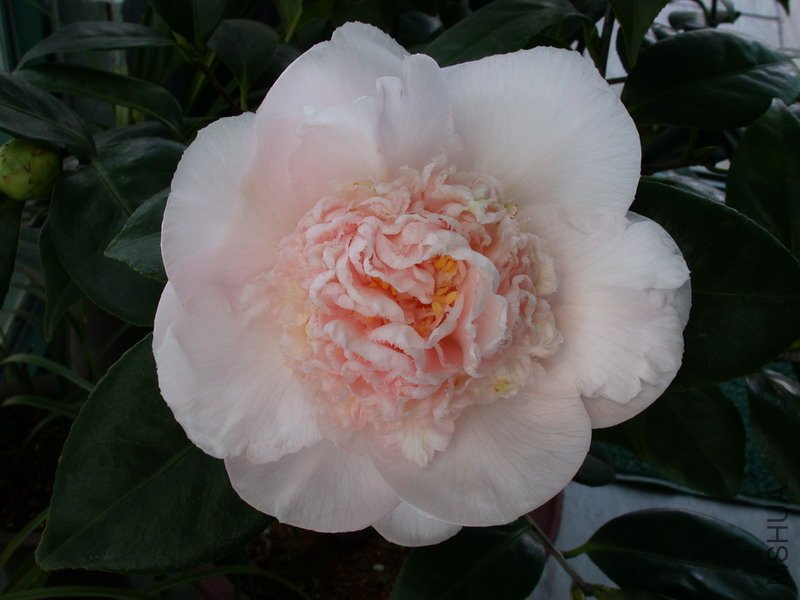 ����֮��