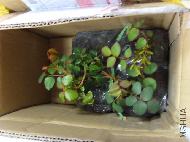 ��4����һ�����ӵģ�һ����û�ж���