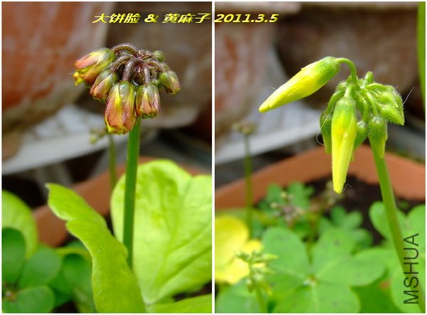 ������ & �����.jpg