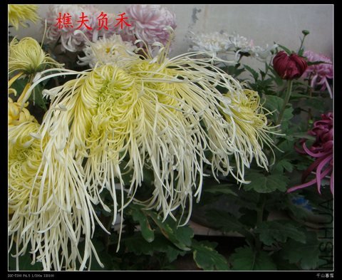 DSC05871.jpg