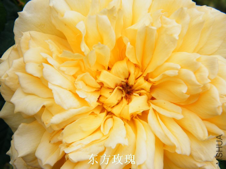 DSCF8165.jpg