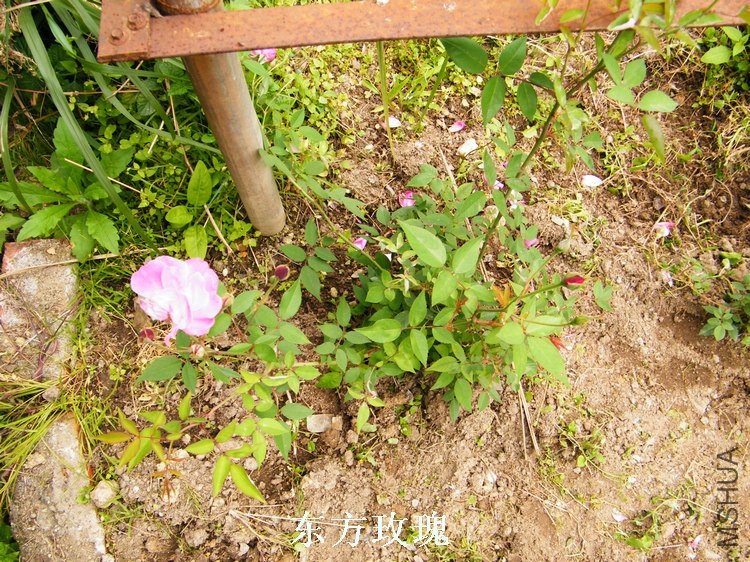 DSCF8201.jpg