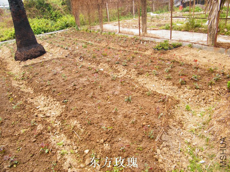 DSCF8257.jpg