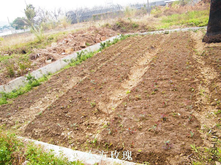 DSCF8259.jpg
