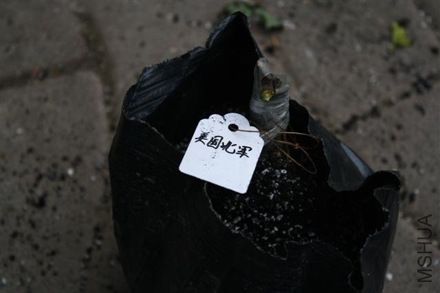 IMG_9786 (Small).JPG