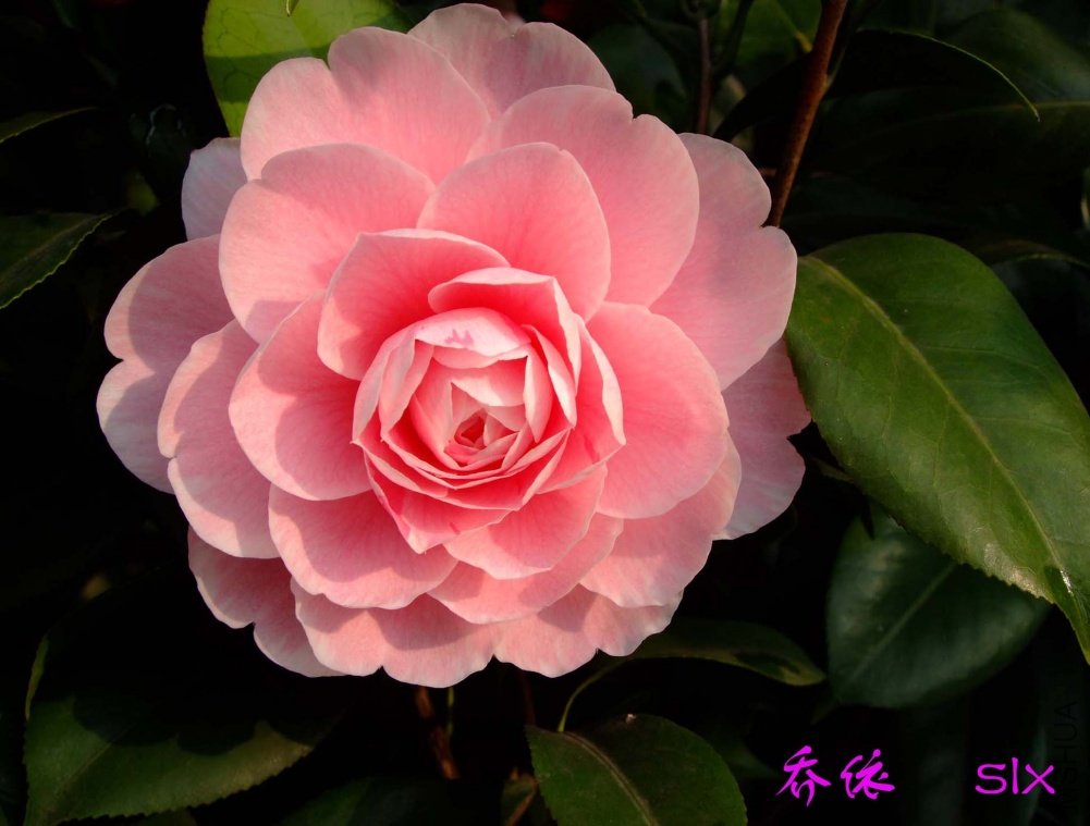 ����11-3-9f (1).jpg