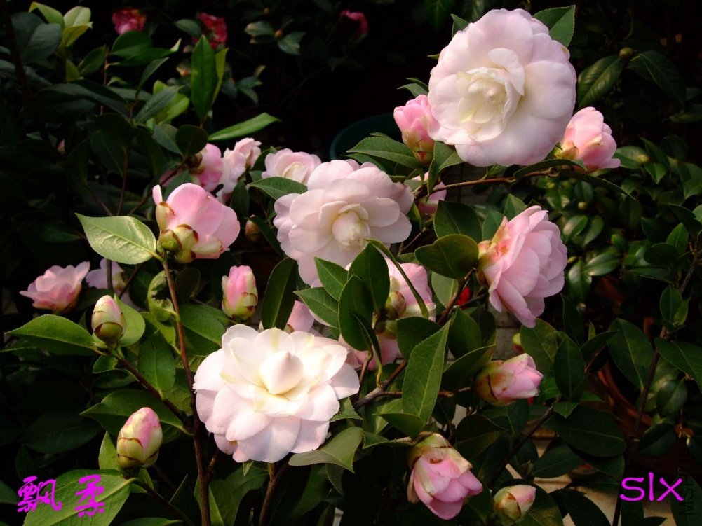 Ʈ��11-3-9f (1).jpg