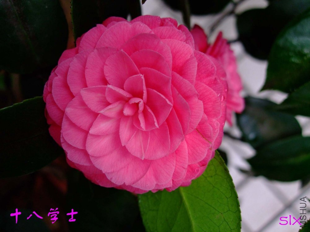 ʮ��ѧʿ11-3-9f (1).jpg