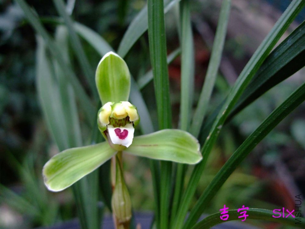 ����11-3-9f (3).jpg