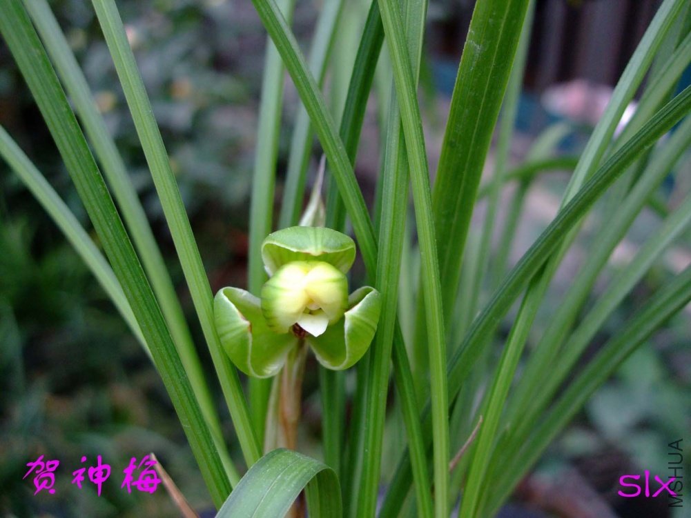 ����11-3-9f (4).jpg