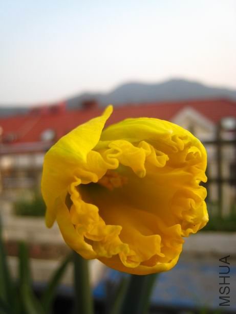 ������С ��ת ��Ƭ 1210.jpg