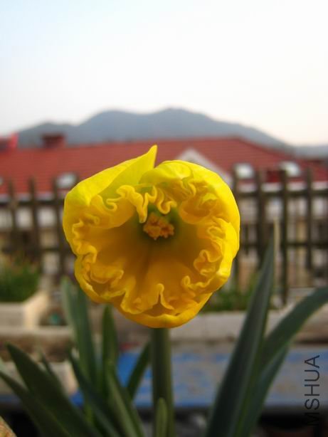 ������С ��ת ��Ƭ 1209.jpg