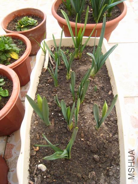 ������С ��ת ��Ƭ 1205.jpg