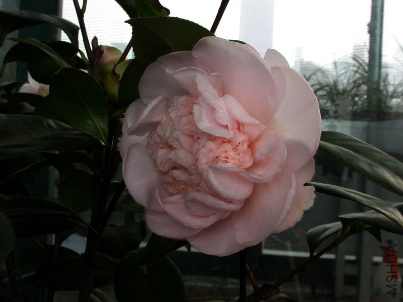 ����֮��