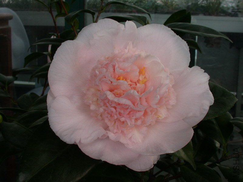 ����֮��