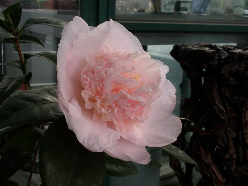 ����֮��