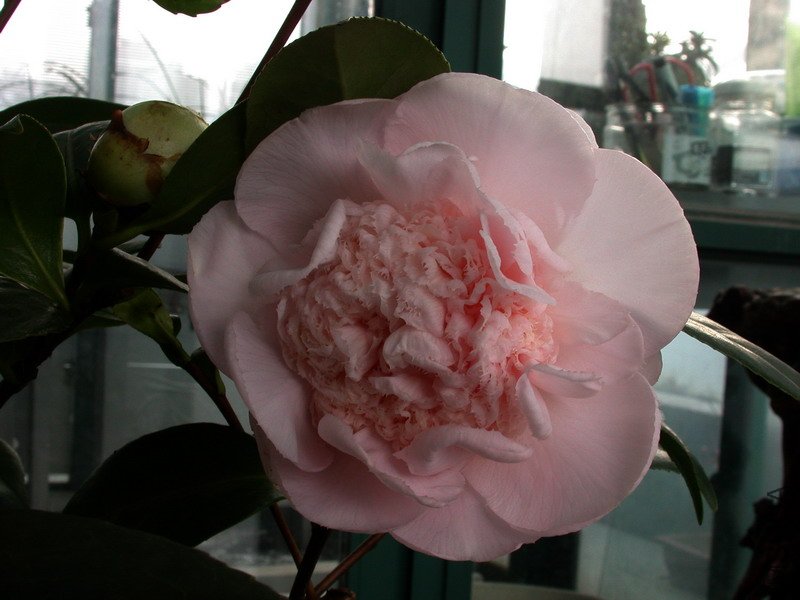 ����֮��